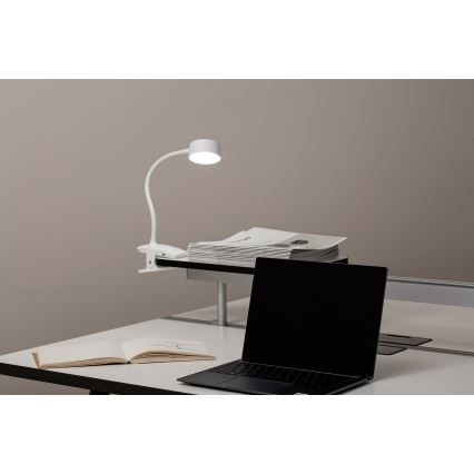 Top Light - LED galda lampa BELLA ar taustes regulējamu spilgtumu un skavu LED/4,8W/5V 3000-6500K balta