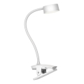 Top Light - LED galda lampa BELLA ar taustes regulējamu spilgtumu un skavu LED/4,8W/5V 3000-6500K balta