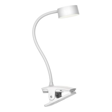 Top Light - LED galda lampa BELLA ar taustes regulējamu spilgtumu un skavu LED/4,8W/5V 3000-6500K balta