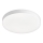 Top Light - LED griestu gaismeklis SPIRIT vannas istabai, 24 W, 230 V, 3000/4000/6500 K, IP44, Ø 30 cm, balts