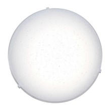 Top Light - LED Griestu lampa STAR LED/12W/230V