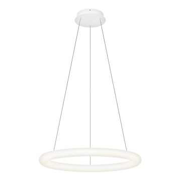 Top Light - LED regulējams lustrs uz kabeļa RINGO LED/40W/230V 3000-6500K balta + tālvadības pults