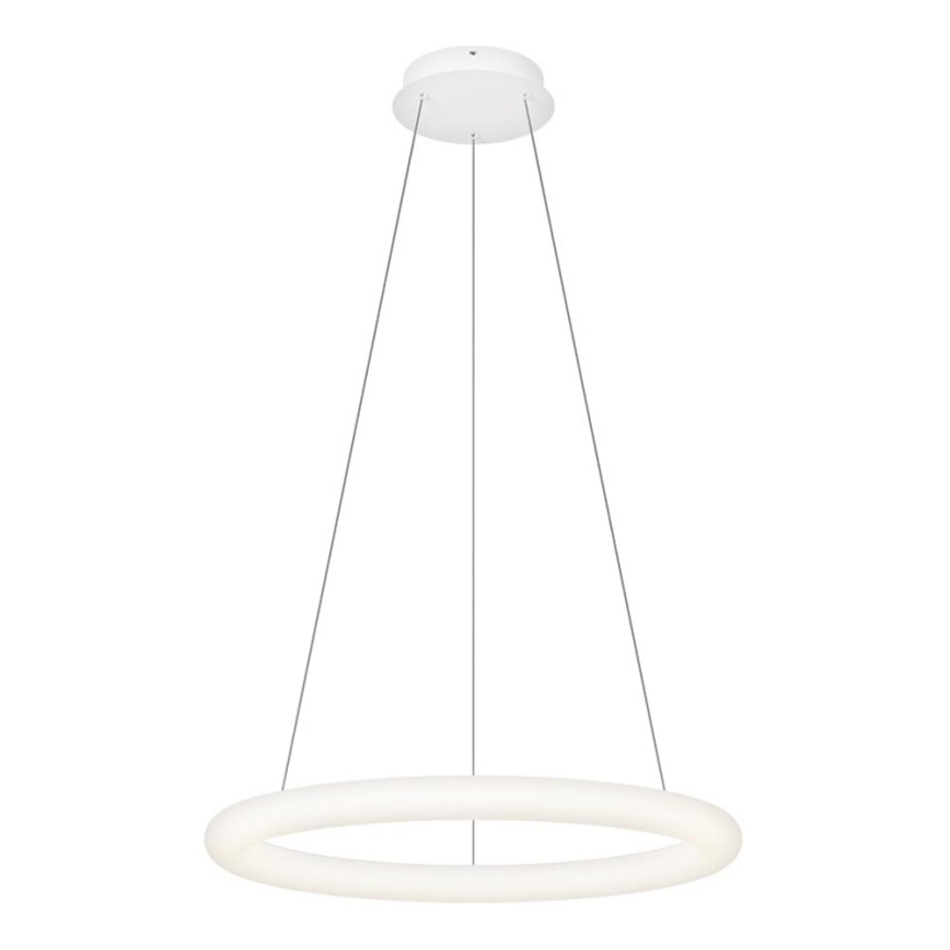 Top Light - LED regulējams lustrs uz kabeļa RINGO LED/40W/230V 3000-6500K balta + tālvadības pults