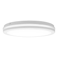 Top Light - LED vannas istabas griestu lampa COMET LED/40W/230V 3000/4000/6500K IP54 balta Ø 40 cm
