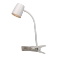 Top Light Mia KL B - LED Lampa ar fiksatoru MIA LED/4,5W/230V