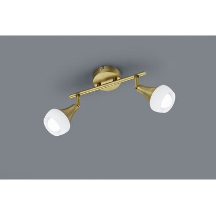 TRIO - Lampa TRUMPET 2xE14/40W/230V