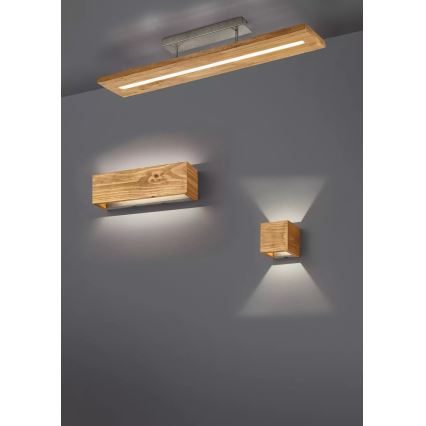 Trio - LED Aptumšojama sienas lampa BRAD LED/4W/230V