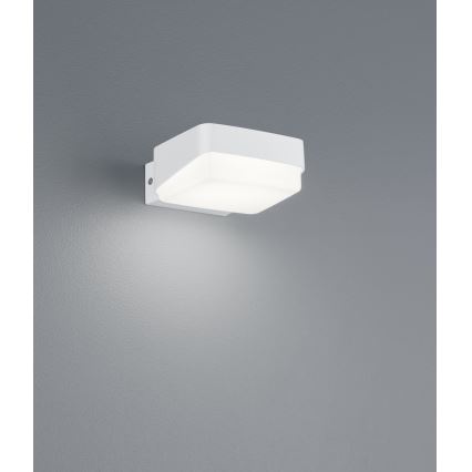 Trio - LED Āra sienas lampa JUBA LED/10W/230V IP65