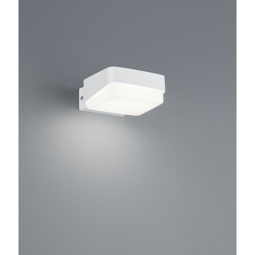 Trio - LED Āra sienas lampa JUBA LED/10W/230V IP65