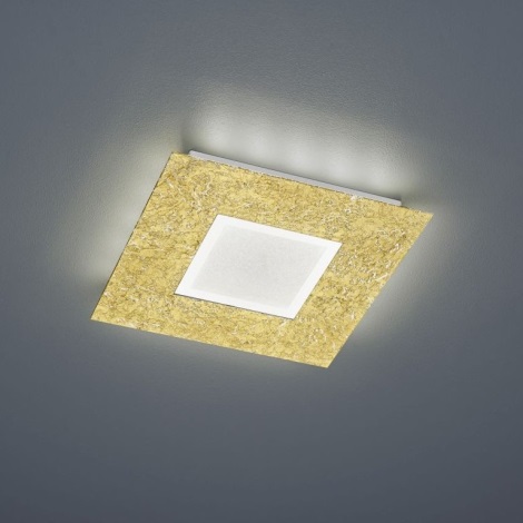 Trio - LED Girestu gaismeklis CHIROS LED/12W/230V + LED/3,5W