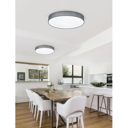 Trio - regulējama LED griestu lampa LUGANO LED/22W/230V 3000K Ø 40 cm pelēka