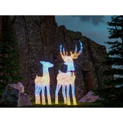 Twinkly - LED RGBW ar regulējamu spilgtumu ārpustelpu Ziemassvētku ziemeļbriedis REINGEERS 250xLED IP44 Wi-Fi