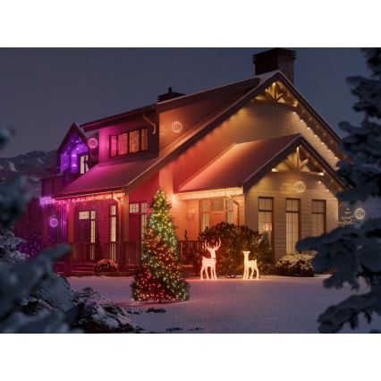 Twinkly - LED RGBW ar regulējamu spilgtumu ārpustelpu Ziemassvētku ziemeļbriedis REINGEERS 250xLED IP44 Wi-Fi