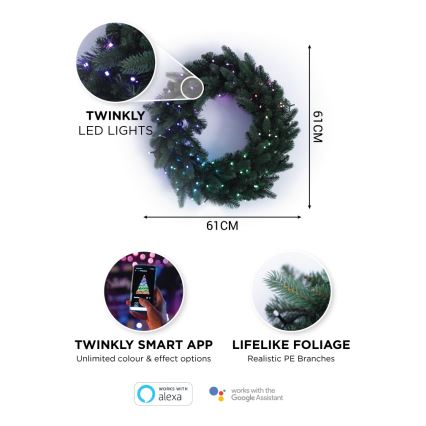 Twinkly - LED RGB Ziemassvētku vainags PRE-LIT WREATH 50xLED d. 61cm Wi-Fi