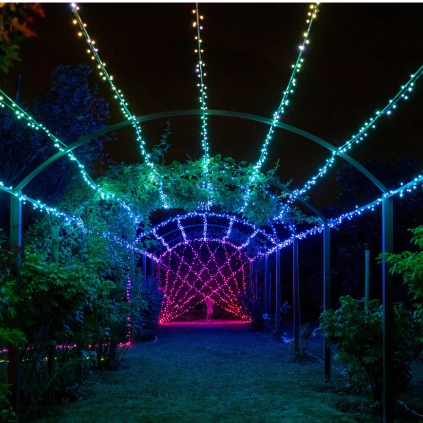 Twinkly - LED RGBW Aptumšojama āra Ziemassvētku virtene STRINGS 250xLED 23,5m IP44 Wi-Fi