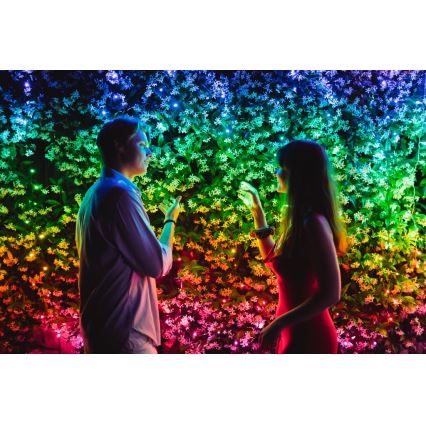 Twinkly - LED RGB Ziemassvētku āra virtene STRINGS 600xLED 51,5m IP44 Wi-Fi