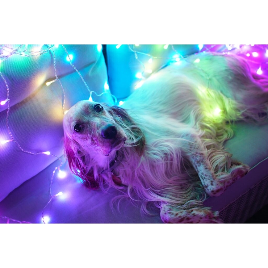 Twinkly - LED RGBW Aptumšojams Ziemassvētku āra aizkars CURTAIN 210xLED 6,1m IP44 Wi-Fi