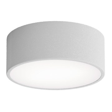 Vannas istabas griestu gaismeklis ar sensoru CLEO 1xE27/24W/230V Ø 20 cm IP54 pelēks
