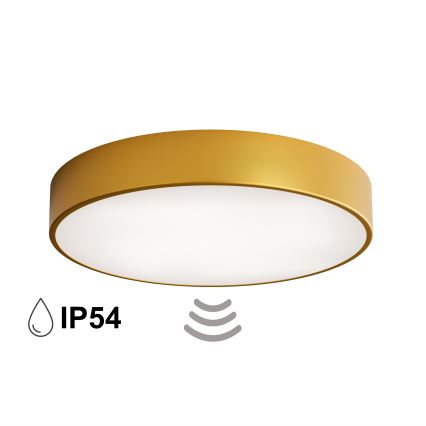 Vannas istabas griestu gaismeklis ar sensoru CLEO 4xE27/24W/230V Ø 50 cm IP54 zelta
