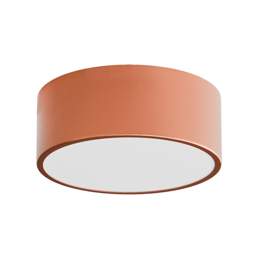 Vannas istabas griestu lampa CLEO 1xE27/24W/230V d. 20 cm varš IP54