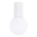 Vannas istabas griestu lampa HALO 1xG9/8W/230V d. 12 cm IP44 balta