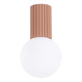 Vannas istabas griestu lampa HALO 1xG9/8W/230V d. 12 cm IP44 brūna