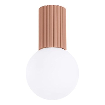 Vannas istabas griestu lampa HALO 1xG9/8W/230V d. 12 cm IP44 brūna
