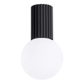 Vannas istabas griestu lampa HALO 1xG9/8W/230V d. 12 cm IP44 melna
