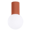Vannas istabas griestu lampa HALO 1xG9/8W/230V d. 12 cm IP44 oranža