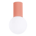 Vannas istabas griestu lampa HALO 1xG9/8W/230V d. 12 cm IP44 rozā