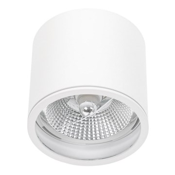 Vannas istabas starmetis CHLOE AR111 1xGU10/12W/230V IP65 apaļa balta