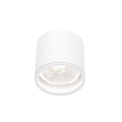 Vannas istabas starmetis CHLOE AR111 1xGU10/12W/230V IP65 apaļa balta