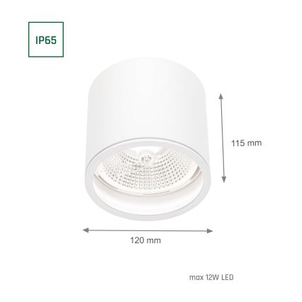 Vannas istabas starmetis CHLOE AR111 1xGU10/12W/230V IP65 apaļa balta