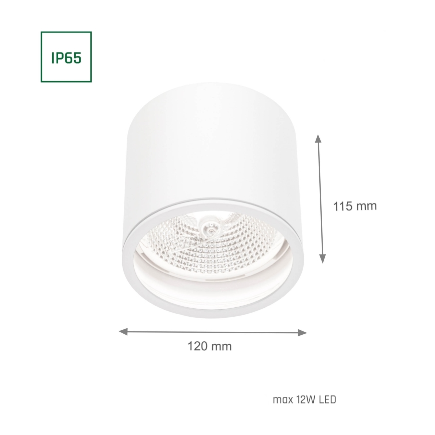 Vannas istabas starmetis CHLOE AR111 1xGU10/12W/230V IP65 apaļa balta