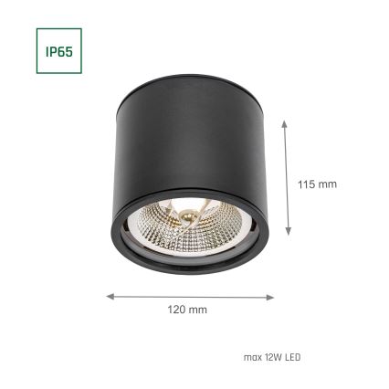 Vannas istabas starmetis CHLOE AR111 1xGU10/12W/230V IP65 apaļa melna