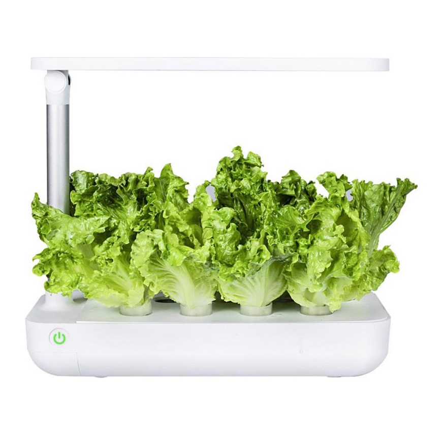 VEGEBOX SMART GARDEN 9 AUGU STĀDĪŠANAS VIETA LED/21W/230V