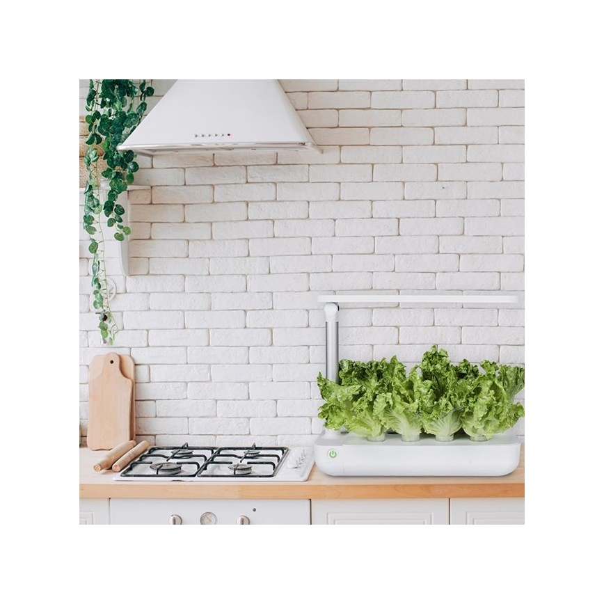VEGEBOX SMART GARDEN 9 AUGU STĀDĪŠANAS VIETA LED/21W/230V