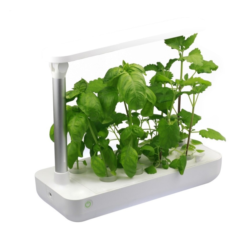 VEGEBOX SMART GARDEN 9 AUGU STĀDĪŠANAS VIETA LED/21W/230V