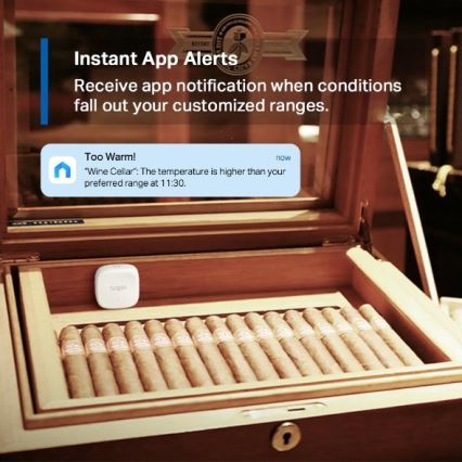 Viedais temperatūras un mitruma sensors 1xCR2450