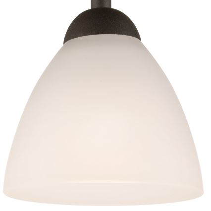 Virsapmetuma lustra ADRIANO 1xE27/60W/230V dižskābardis