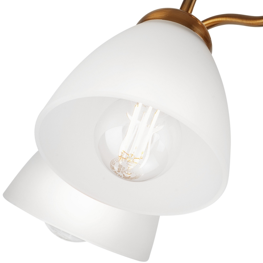 Virsapmetuma lustra MIRANDA 1xE27/60W/230V zelta