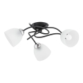 Virsapmetuma lustra VERWIL 3xE27/15W/230V melna