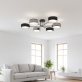 Virsmas griestu lampa MAGA 6xE14/10W/230V melna/pelēka