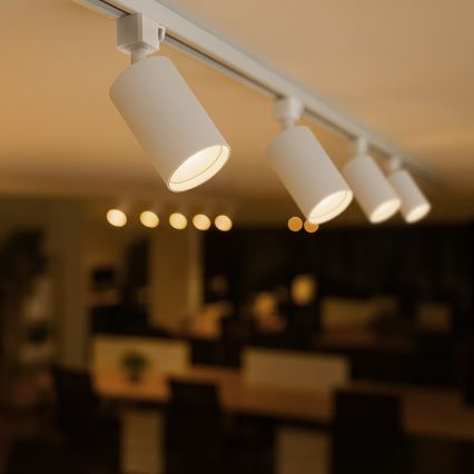 Virziena gaismeklis vienfāzes sliežu sistēmai TIGER 1xGU10/10W/230V balts