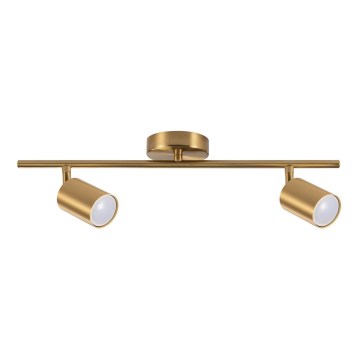 Virziena lampa GOLDIE 2xGU10/10W/230V zelta krāsā