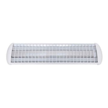 Voltolux - LED Dienasgaismas lampa MODERN 2xLED/12W/230V