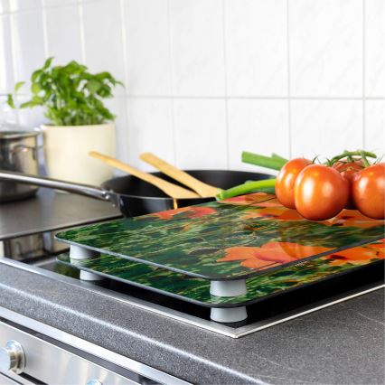WENKO 2521434500-Pārsega plāksne - Puķe/Augs 30x52 cm daudzkrāsaina