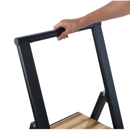 WENKO 50482100 - ALU-DESIGN alumīnija kāpnes 44x101 cm, melnas