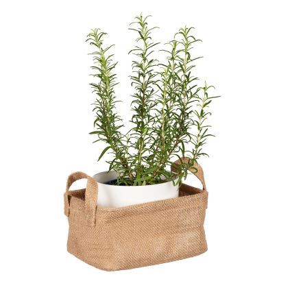 WENKO 64470100 - Grozs JUNA 20x15 cm brūns