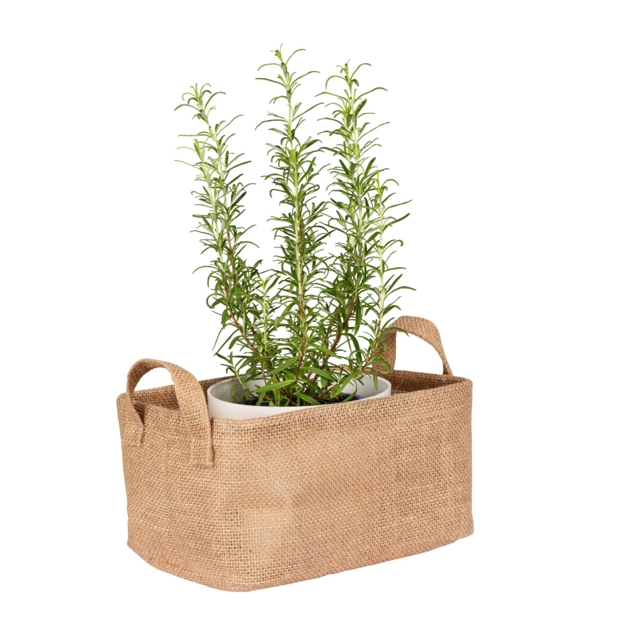WENKO 64471100 - Grozs JUNA 24x17 cm brūns